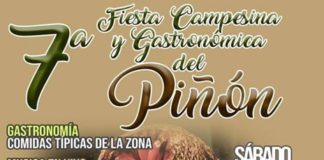 Fiesta Campesina y Gastronómica del Piñón en Angol