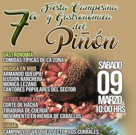 Fiesta Campesina y Gastronómica del Piñón en Angol