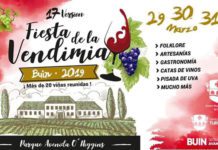 fiesta de la vendimia de buin 2019