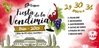 fiesta de la vendimia de buin 2019