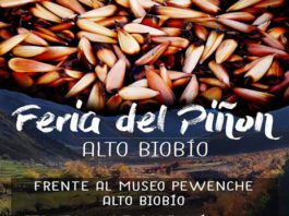 Feria del Piñón en Alto Biobío