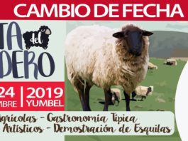 fiesta del cordero de tomeco yumbel
