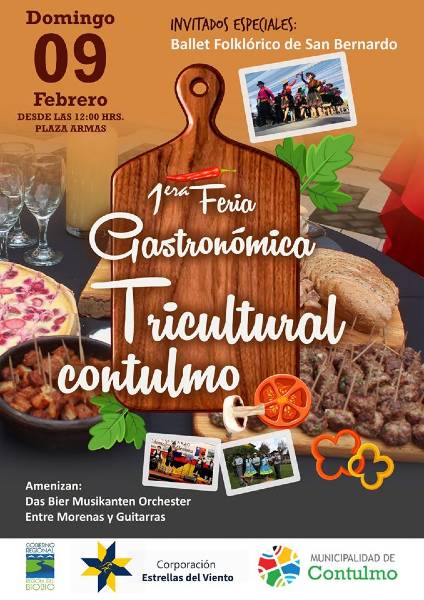 1ª Feria Gastronómica Tricultural Contulmo 1 1ª Feria Gastronómica Tricultural Contulmo