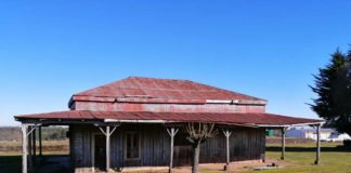 estacion de tren de selva oscura araucania