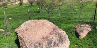 Vecinos de Colina encuentran petroglifos de posible origen Inca en Quebrada Totorillas