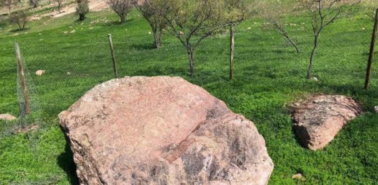 Vecinos de Colina encuentran petroglifos de posible origen Inca en Quebrada Totorillas