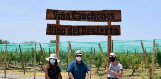Ruta Turística del Vino del Desierto reabre sus puertas al público