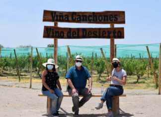 Ruta Turística del Vino del Desierto reabre sus puertas al público
