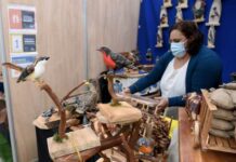 Expo Sabores y Saberes Ancestrales hasta el 23 de junio en la Plaza Anibal Pinto de Temuco