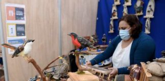 Expo Sabores y Saberes Ancestrales hasta el 23 de junio en la Plaza Anibal Pinto de Temuco