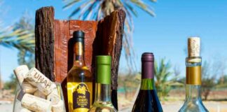 Abre la Ruta del Vino del Desierto en la Pampa del Tamarugal, Tarapacá