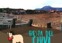 4ª Fiesta del Chivo de Levicán, Río Ibáñez