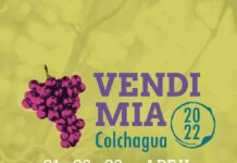Fiesta de la Vendimia 2022 del Valle de Colchagua