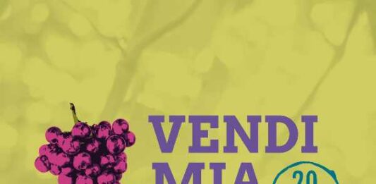 Fiesta de la Vendimia 2022 del Valle de Colchagua
