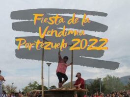 Fiesta de la Vendimia en Portezuelo 2022