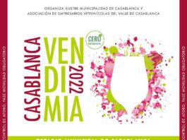 VIII Fiesta de la Vendimia de Casablanca 2022