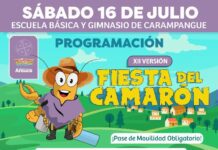 La Fiesta Costumbrista del Camarón se realizará en la localidad de Carampangue, Arauco (ver mapa), el día sábado 16 de julio desde las 09.00 hrs. en la Escuela Básica y gimnasio de Carampangue.