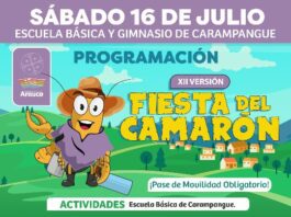 La Fiesta Costumbrista del Camarón se realizará en la localidad de Carampangue, Arauco (ver mapa), el día sábado 16 de julio desde las 09.00 hrs. en la Escuela Básica y gimnasio de Carampangue.