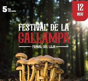 5º Festival de la Callampa Pangal de Laja festival de la callampa en pangal de laja