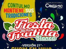 Fiesta de la Frutilla Blanca 2022 Contulmo