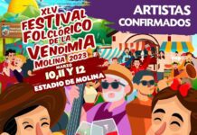 https://identidadyfuturo.cl/2023/03/02/festival-folclorico-de-la-vendimia-de-molina-2023/