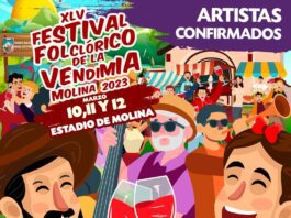 https://identidadyfuturo.cl/2023/03/02/festival-folclorico-de-la-vendimia-de-molina-2023/
