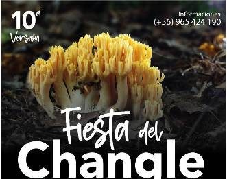 10ª Fiesta del Changle en Cañete