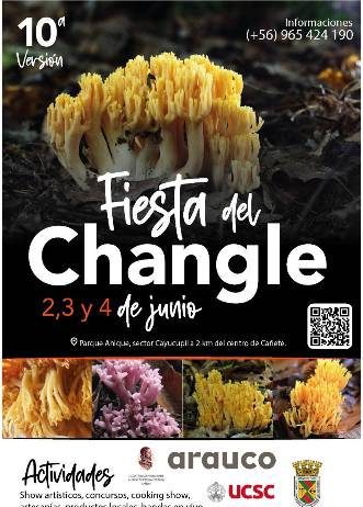 10ª Fiesta del Changle en Cañete