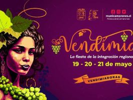 Fiesta de la Vendimia del Valle de Codpa 2023