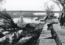 En junio llega tercera edición de libro con historias desconocidas y sorprendentes del gran terremoto de mayo de 1960 En junio llega tercera edición de libro con historias desconocidas y sorprendentes del gran terremoto de mayo de 1960