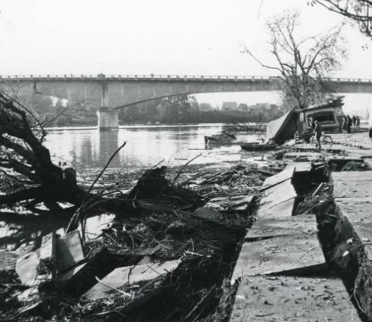 En junio llega tercera edición de libro con historias desconocidas y sorprendentes del gran terremoto de mayo de 1960
