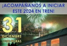 Tren del Recuerdo a Viña del Mar para Año Nuevo