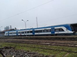 EFE Sur inicia servicios de Trenes Turísticos en La Araucanía