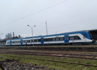 EFE Sur inicia servicios de Trenes Turísticos en La Araucanía