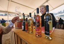 #OTRARONDA Sabores & Vinos: Una cita para los amantes del vino en el Valle de Casablanca