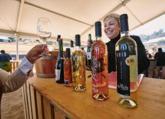 #OTRARONDA Sabores & Vinos: Una cita para los amantes del vino en el Valle de Casablanca