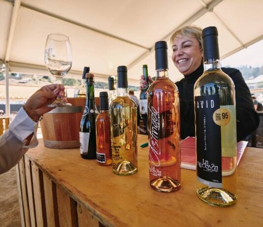 #OTRARONDA Sabores & Vinos: Una cita para los amantes del vino en el Valle de Casablanca