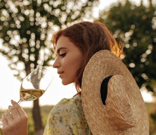 Tren turístico Sabores de Cachapoal