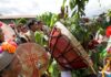 los mapuchesa