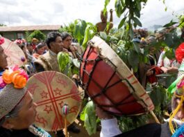 los mapuchesa