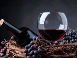 historia del vino chileno