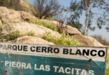 ¿Qué son las piedras tacitas y dónde encontrarlas? piedras las tacitas