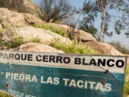 ¿Qué son las piedras tacitas y dónde encontrarlas? piedras las tacitas