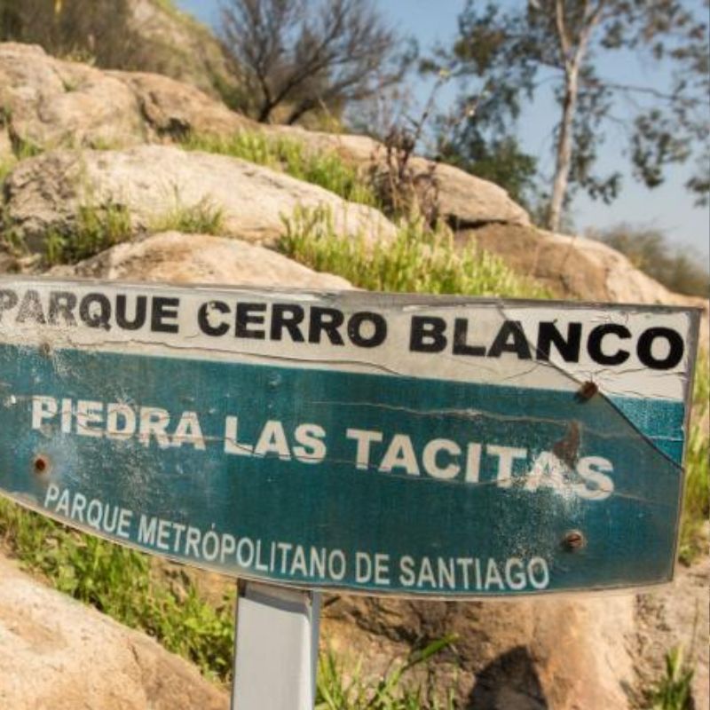 ¿Qué son las piedras tacitas y dónde encontrarlas? 1 piedras las tacitas