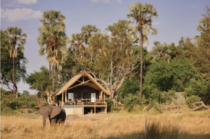 África salvaje: 7 países imperdibles para vivir la naturaleza en su estado más puro 2 2202 Best African countries to visit for wildlife revi 1 spanish latam.2
