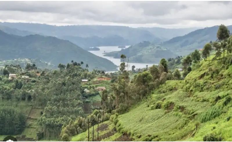 África salvaje: 7 países imperdibles para vivir la naturaleza en su estado más puro 6 2202 Best African countries to visit for wildlife revi 1 spanish latam.5