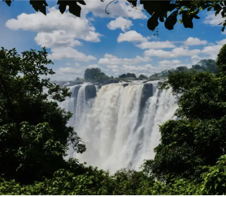 África salvaje: 7 países imperdibles para vivir la naturaleza en su estado más puro 8 2202 Best African countries to visit for wildlife revi 1 spanish latam.7