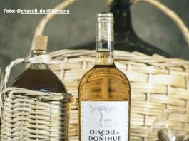 vino chacoli chile