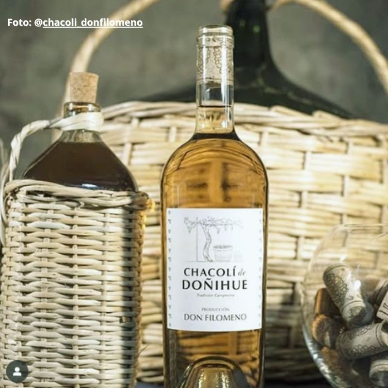 Conoce la historia del vino Chacolí en Chile 1 vino chacoli don filomeno