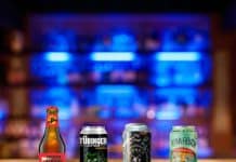 cervezas artesanales chilenas